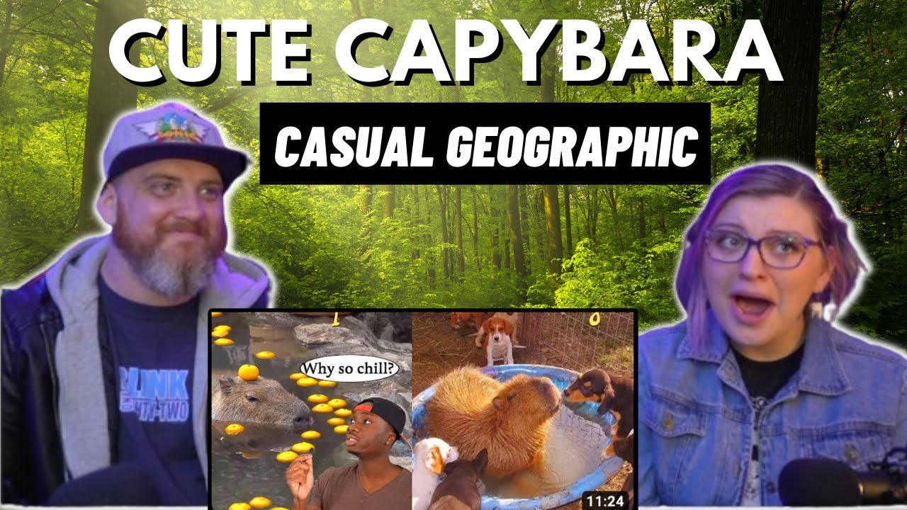 The Science Behind the Unproblematic Nature of the Capybara @Casual Geographic | HatGuy  @Gnarly Nikki React