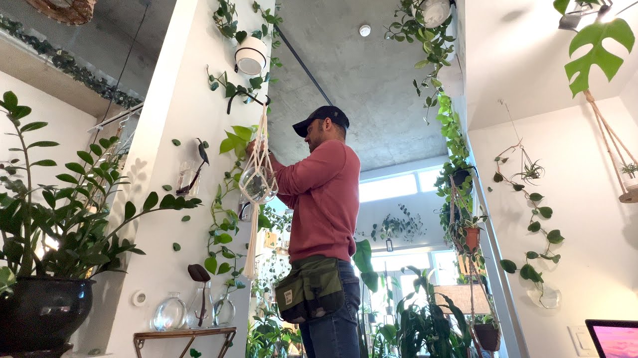DIY Plant Propagation Design Idea: Turning a bushy Neon Pothos into Decor
