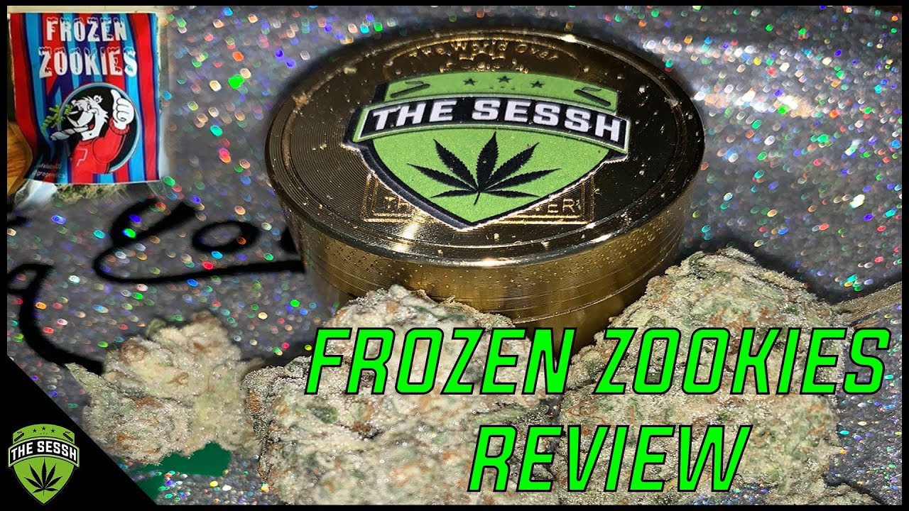 Frozen Zookies Bud Review by SafeLabs420 | The Sessh Review