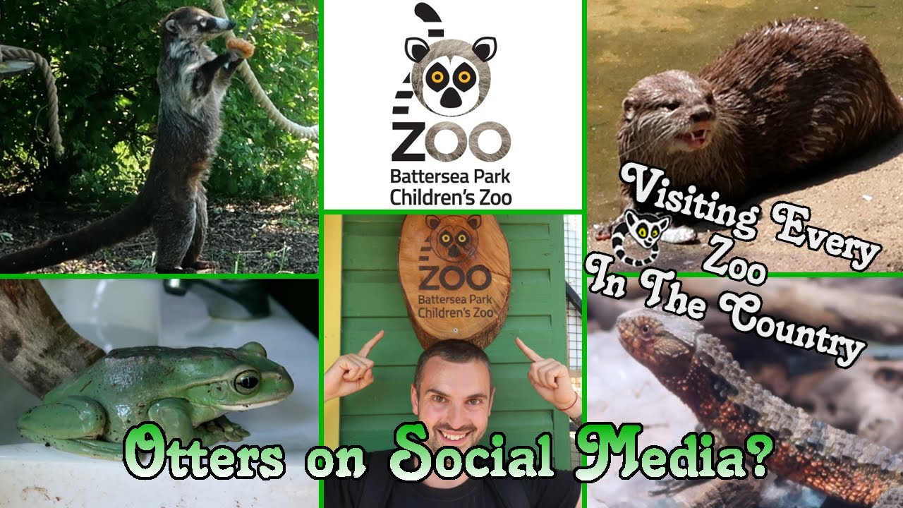 Battersea Park Children's Zoo, Social Media Is Bad For Otters?