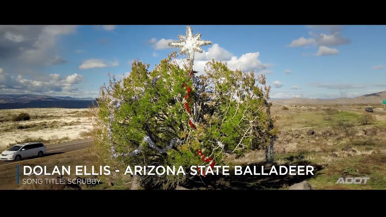 Dolan Ellis: Arizona's I-17 Mystery Tree Gets Its Own Song