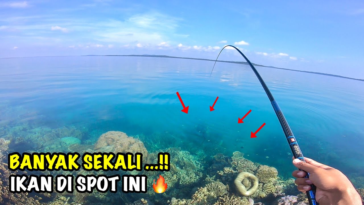 RAKUS BANGETT IKAN DI SPOT INI ..!! TIAP UMPAN TURUN LANGSUNG DI SAMBER ...