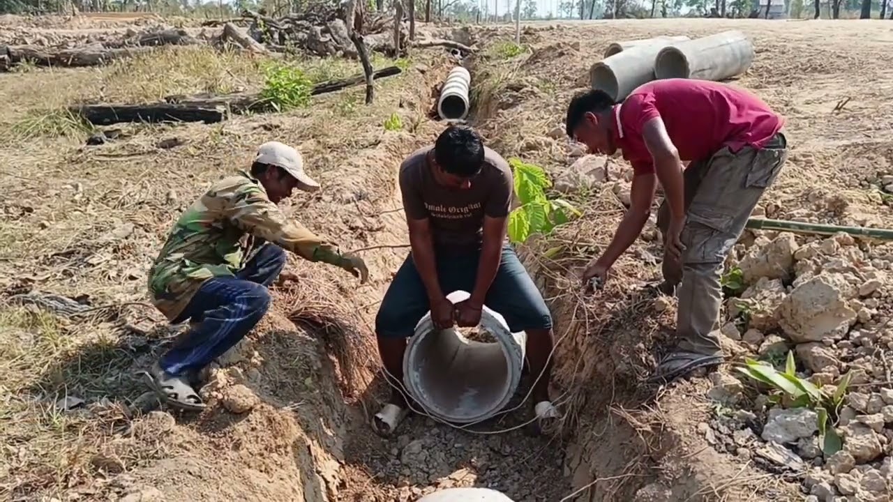 ជាងៗដាក់លូឲ្យលោកពូផល្លាកែវ