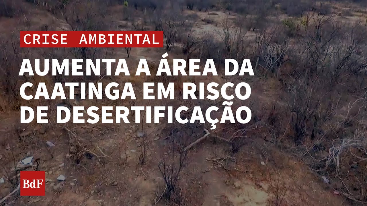 Desertificação avança na caatinga