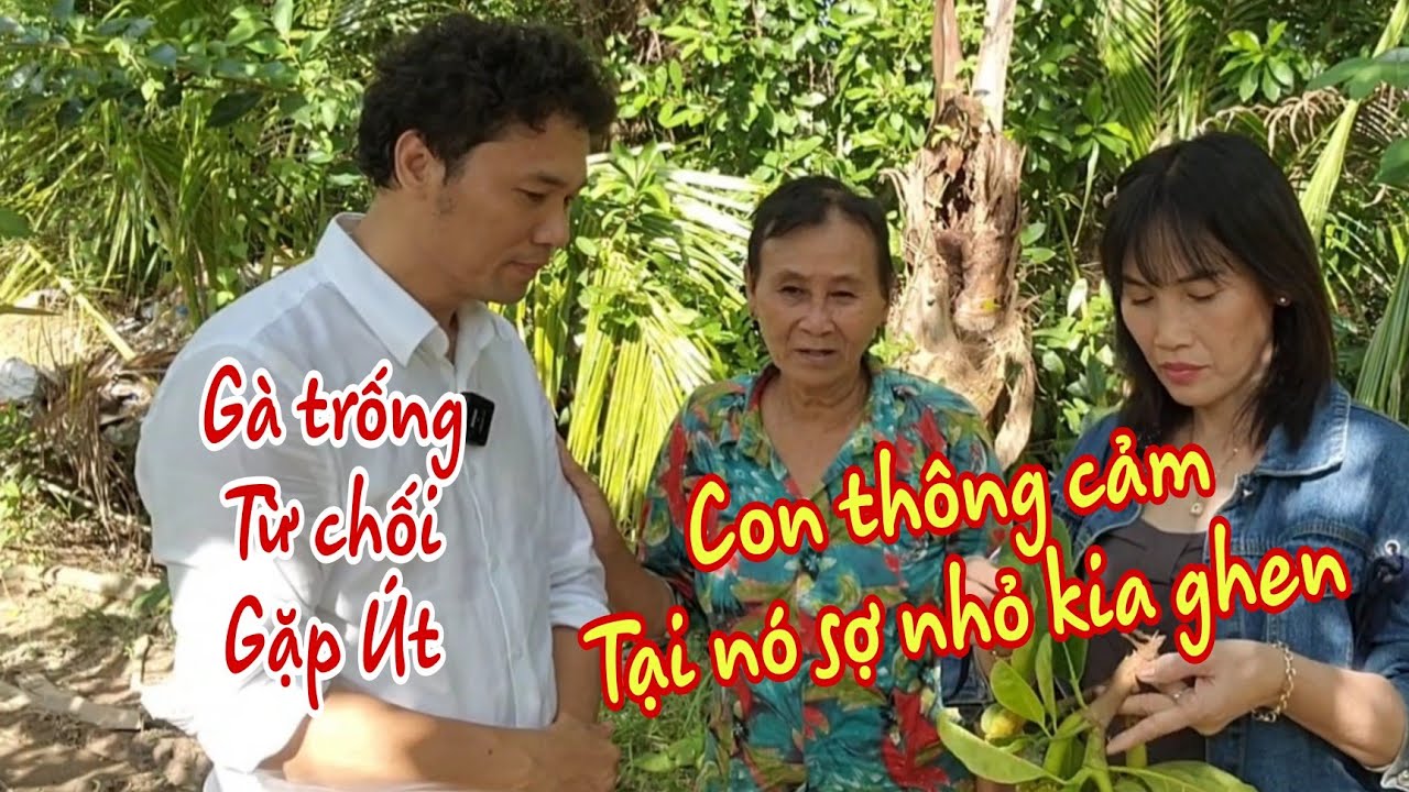 Cô Út rất buồn khi Gà trống từ chối gặp. Cô Út nhắn gởi tới _ Khe_mì_đôi điều. Hi vọng cô nghe thấy.