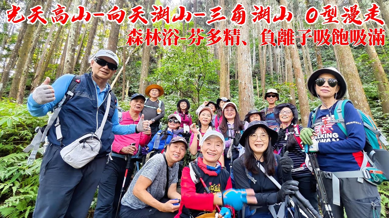 光天高山-向天湖山-三角湖山 O型縱走 ; 蒼天般矗立的柳杉林, 層層疊疊的綠意靜靜流動, 像是大自然低聲饋贈與我們的一份祕密禮物。