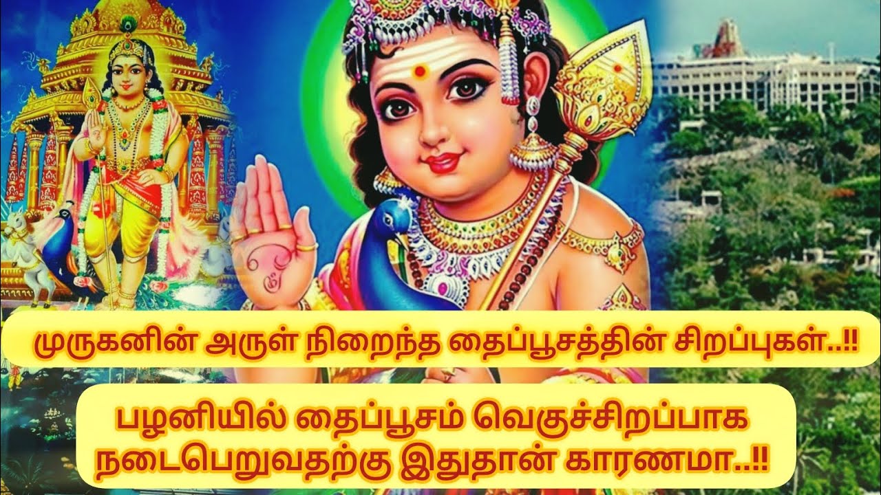 தை மாத பௌர்ணமியில் முருகனின் அருள் நிறைந்த தைப்பூசத்தின் சிறப்புகள்|Thaipoosam #தைப்பூசம் #பழனி