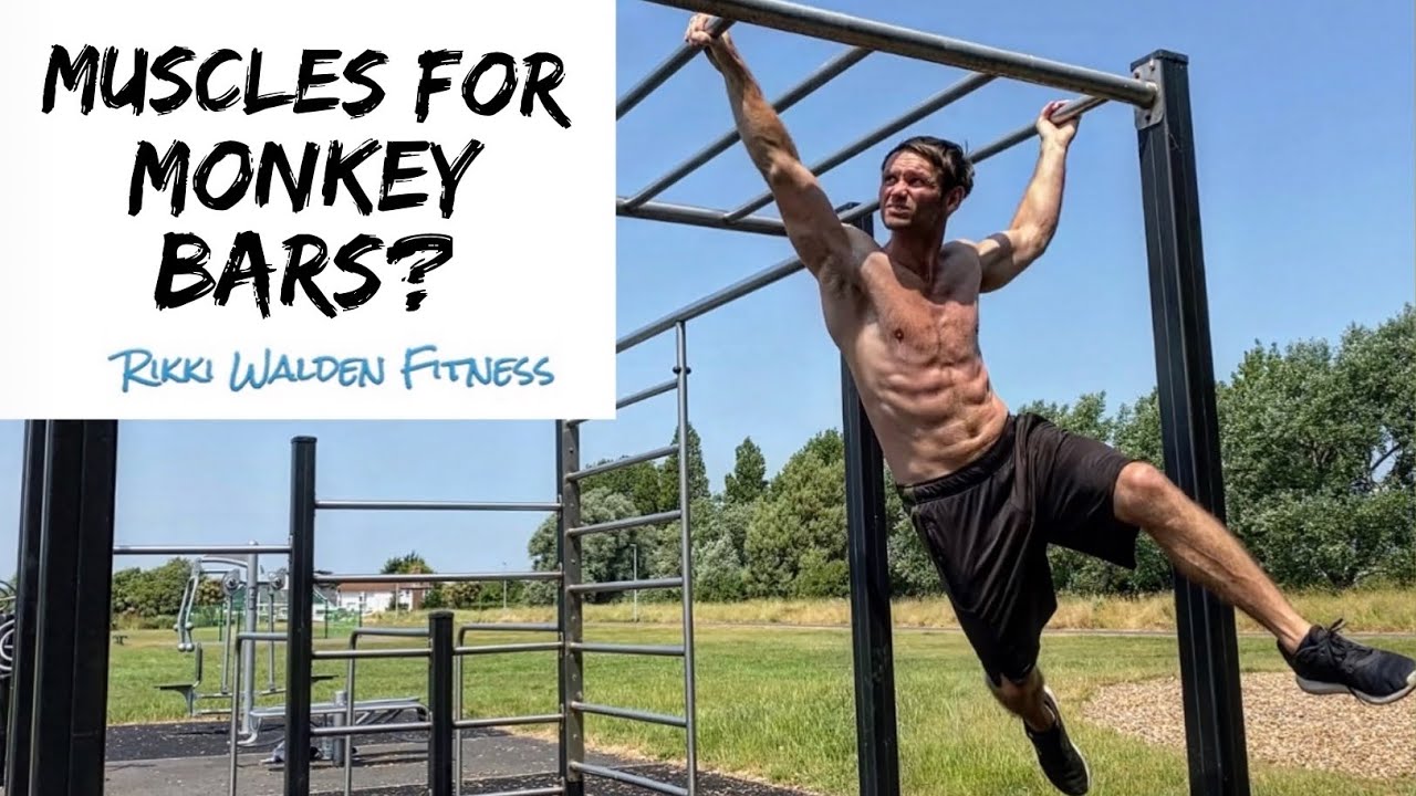 What makes Monkey Bars a good workout?