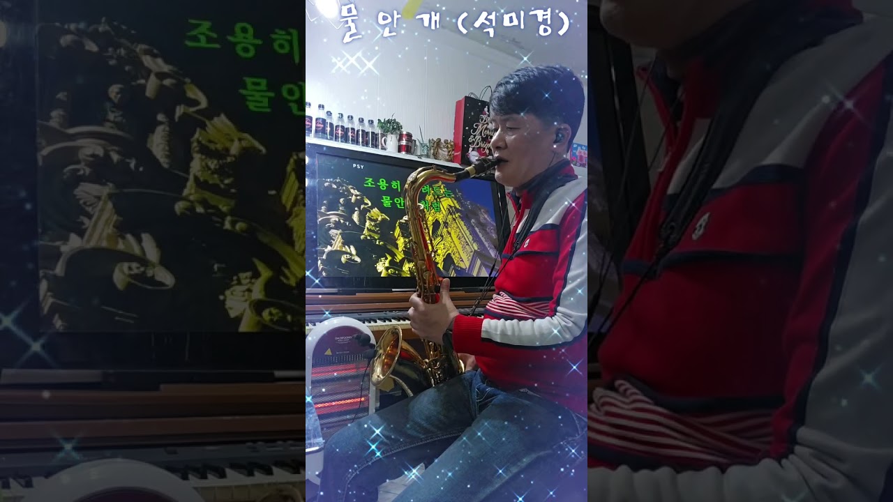 물안개 (석미경)