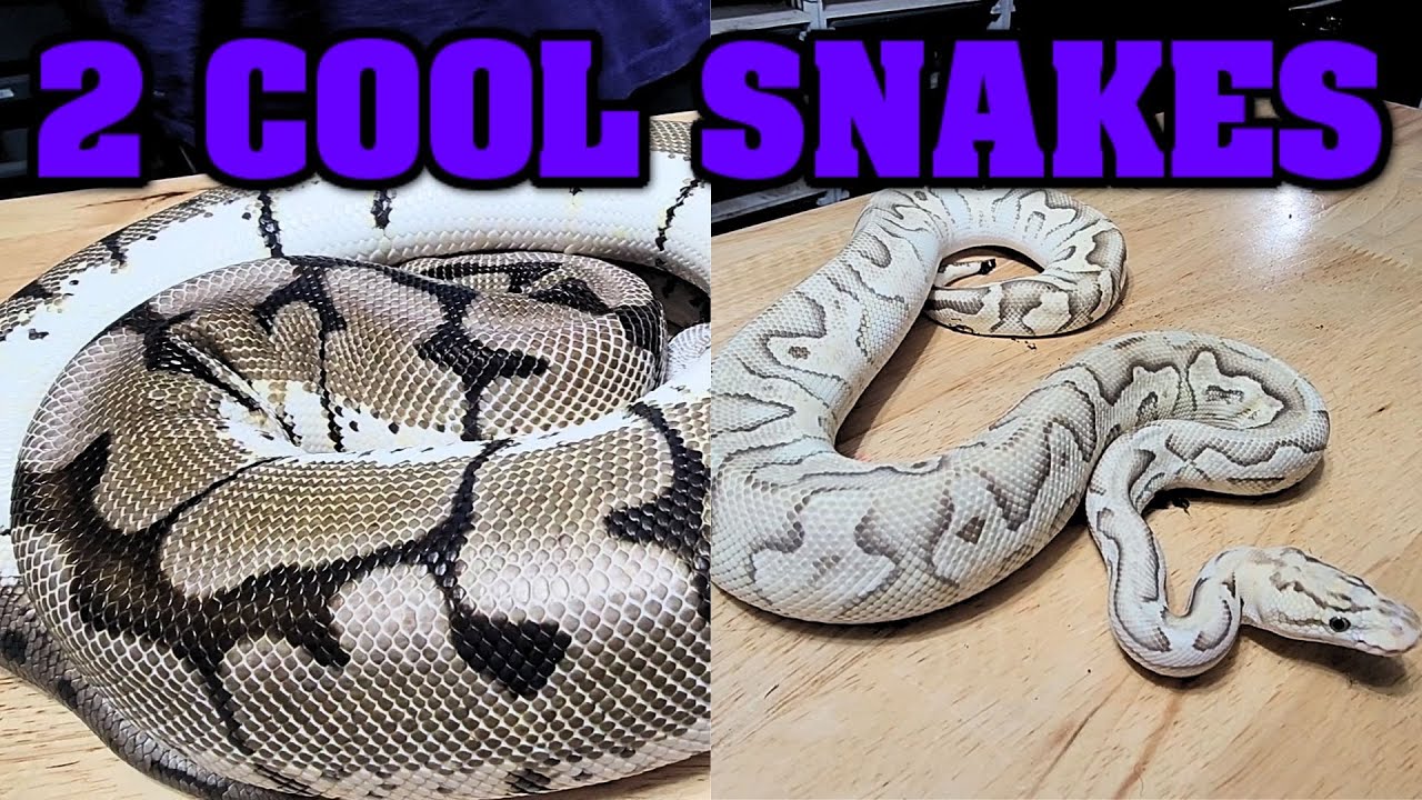 A few of our favorites we will part with!