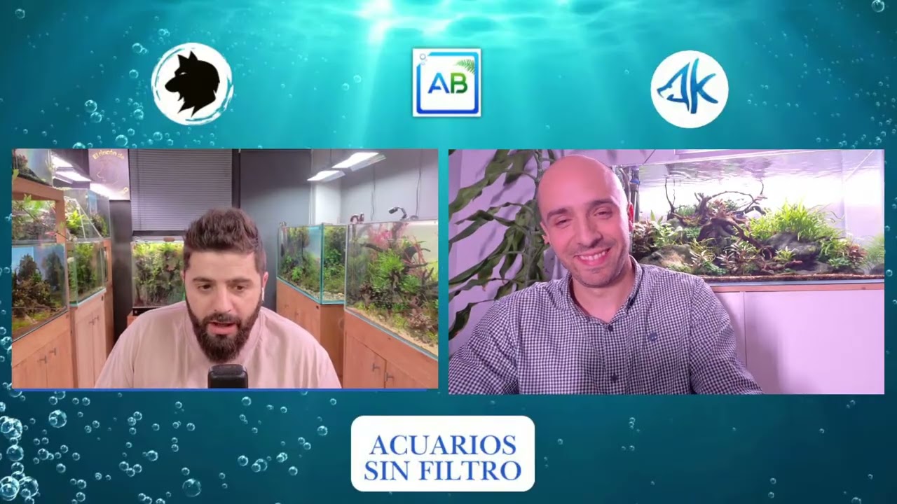 🔴🦐 GAMBAS DE ACUARIO: TIPOS, SUSTRATO, FILTRACIÓN y SALES MINERALES | ACUARIOS SIN FILTRO