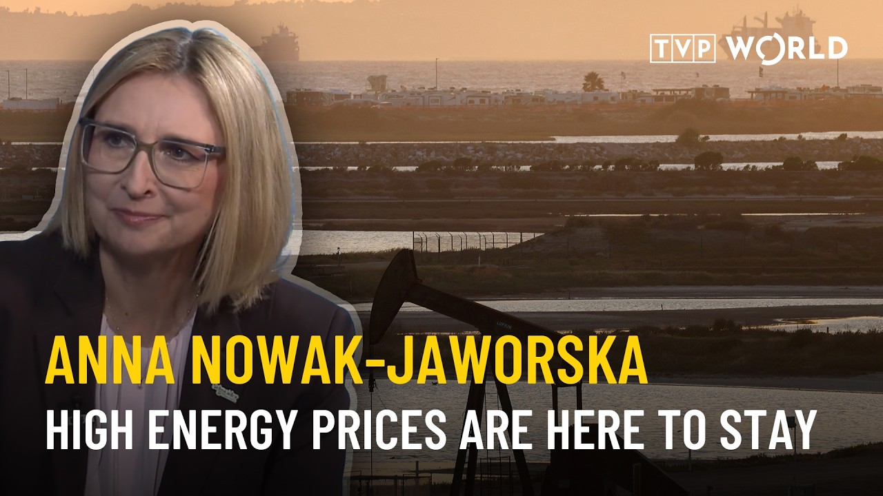 Half of Polish firms aware of the cost but not volumes of energy consumed | Anna Nowak-Jaworska