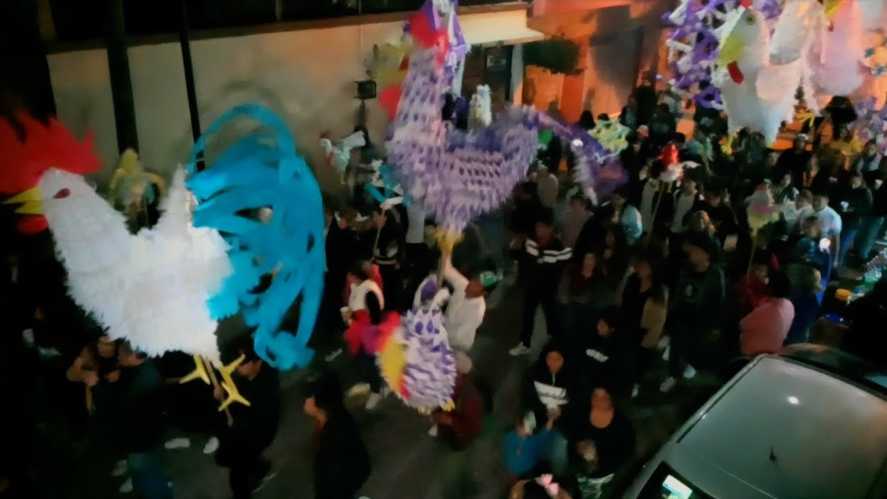 Gallo monumental, La cañada 29 octubre 2023