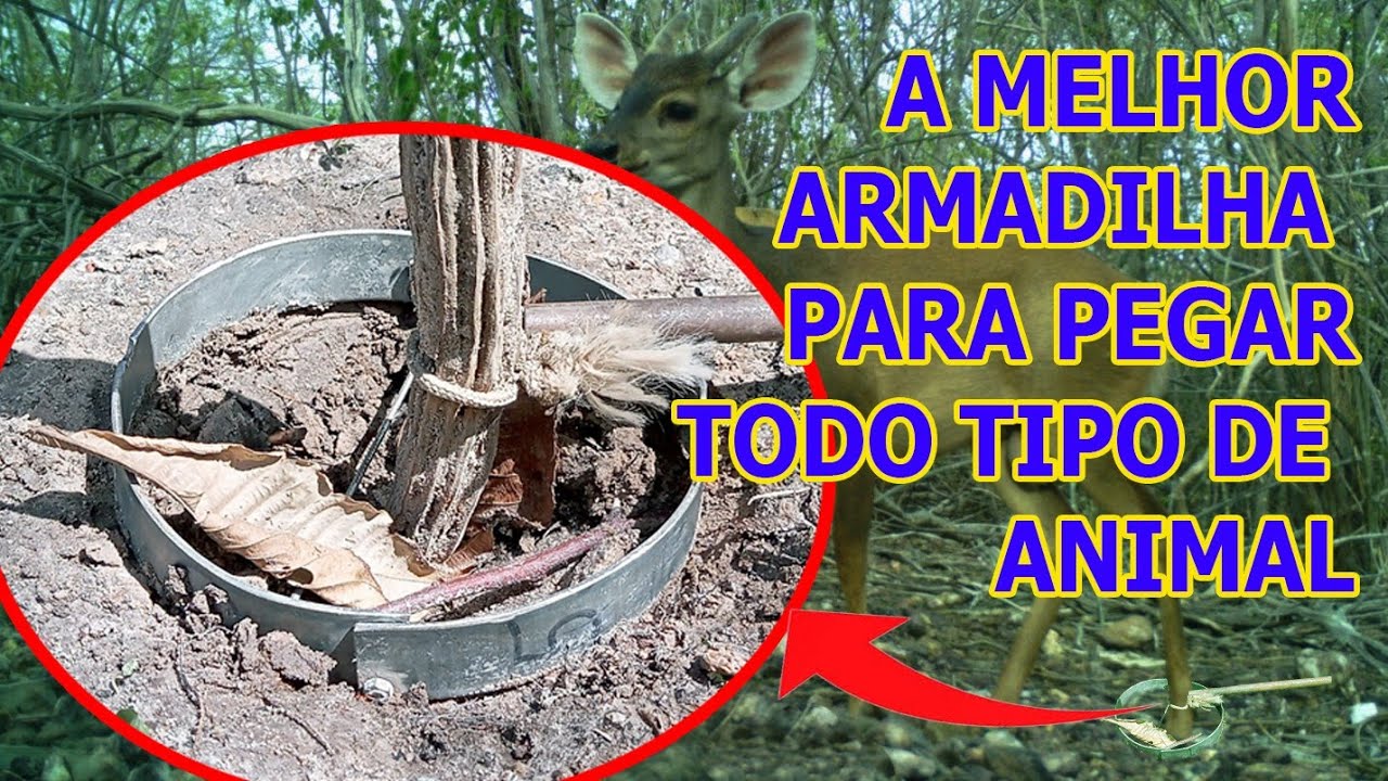 A MELHOR ARMADILHA PARA TODO TIPO DE ANIMAL