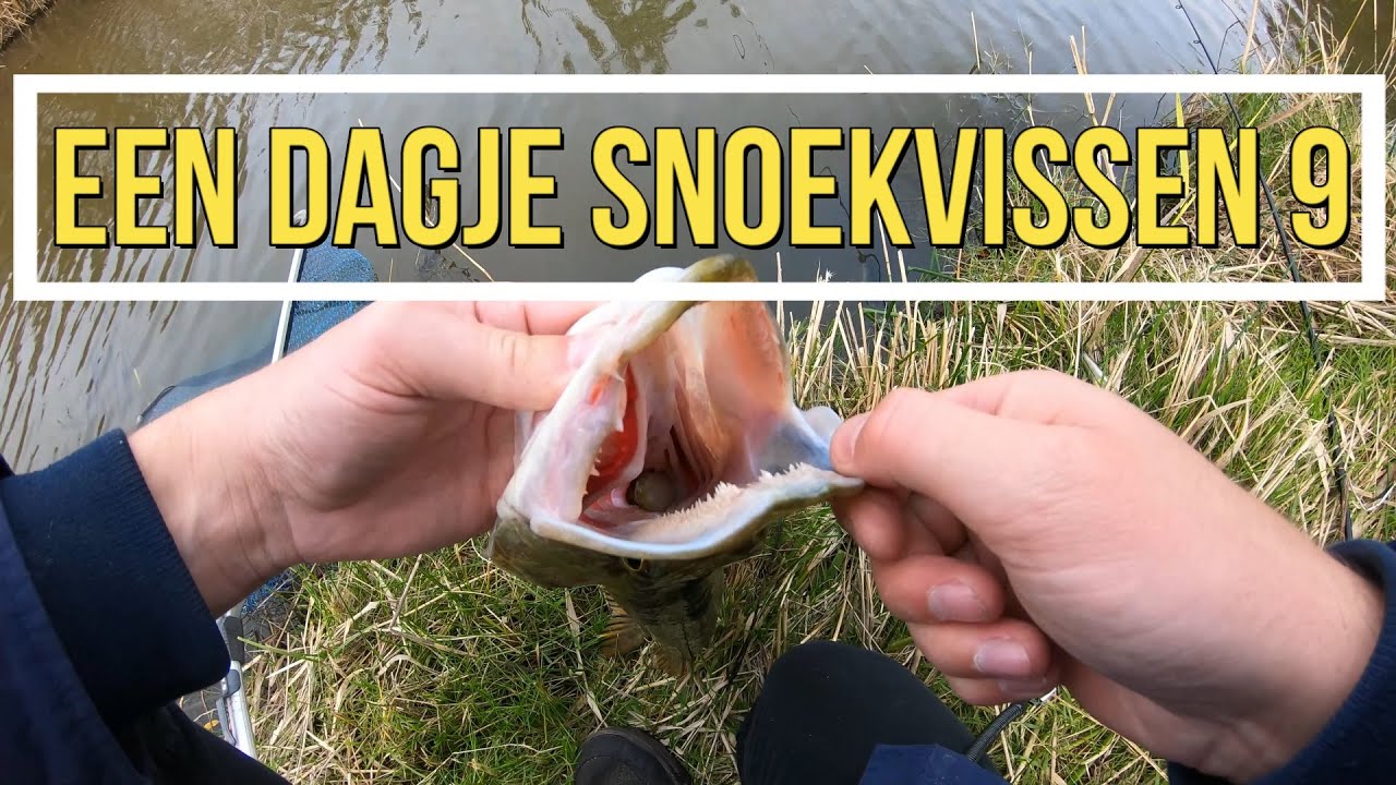 Een dagje snoekvissen 9 (Snoek eet snoek!)