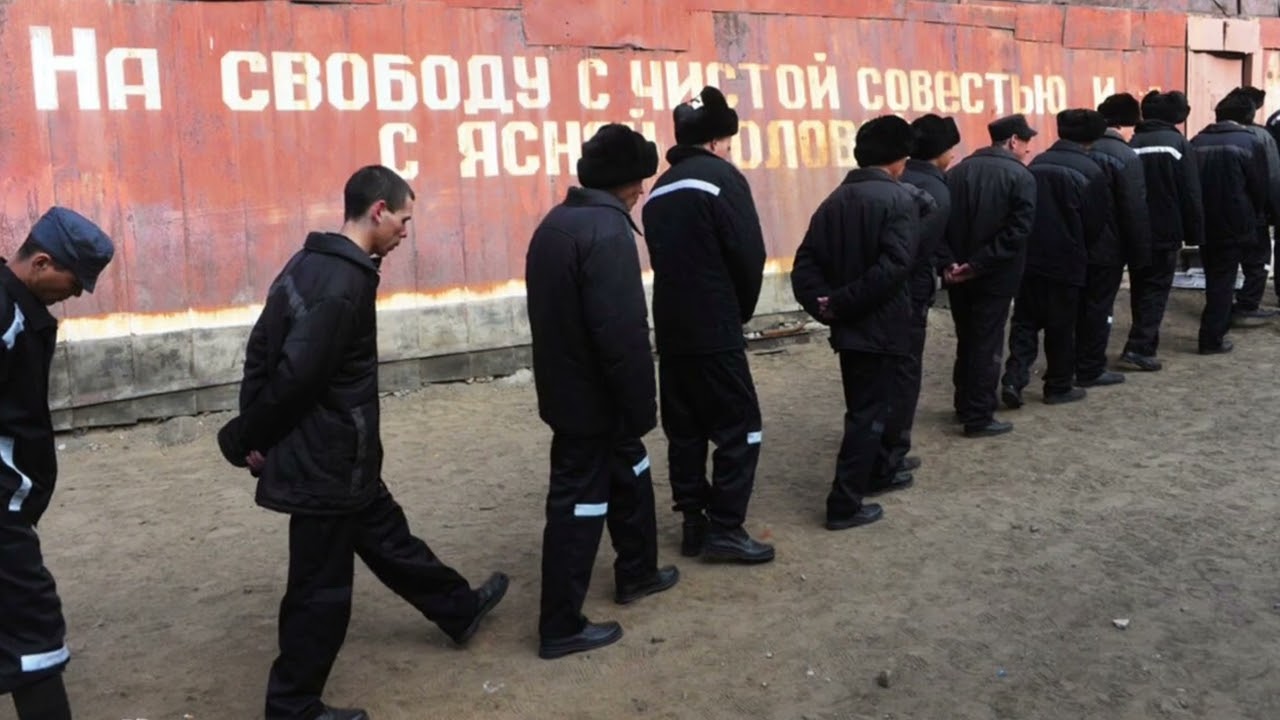 мышка#2026 #шансон #шансонгода #шансондлядуши #шансона #шансонюга #шансонье #шансонлучшеепесни #топ 