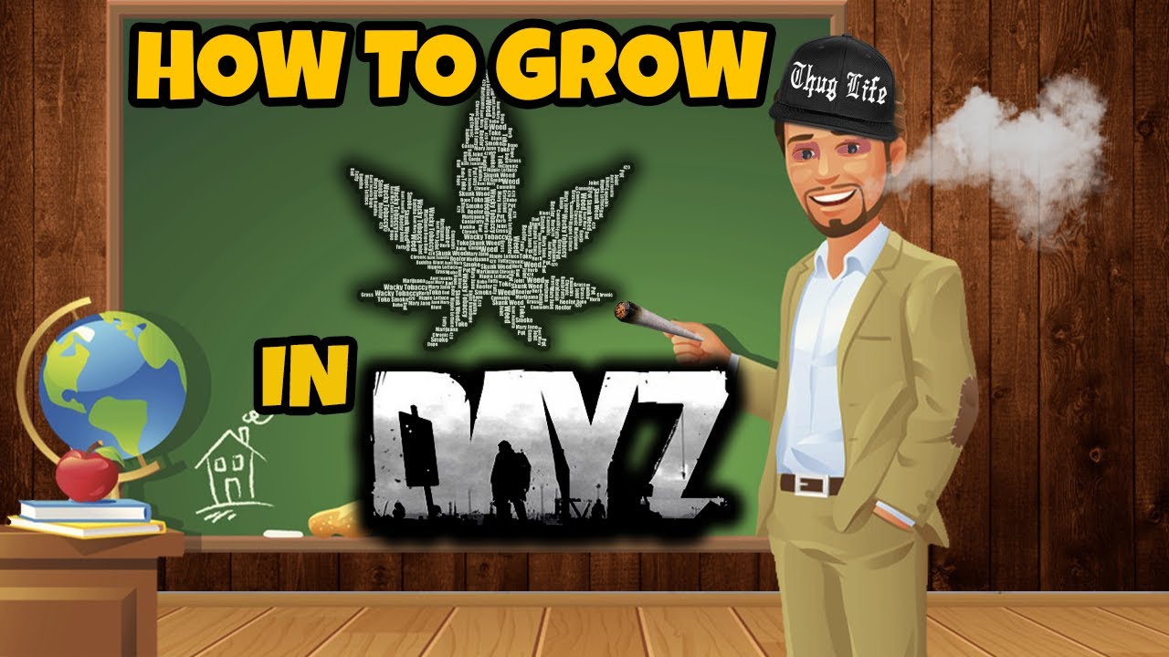 How to Grow Cannabis in DayZ