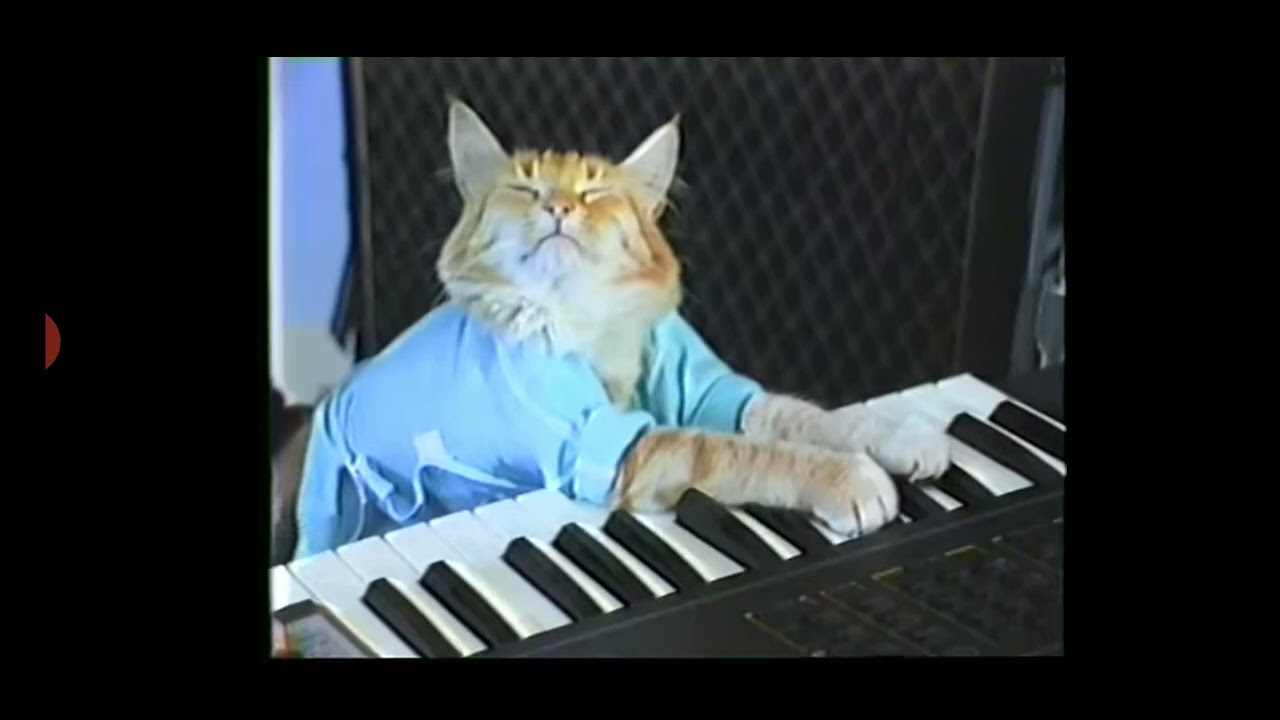 Keyboard cat the original! 1998-1999 (перезалив) 