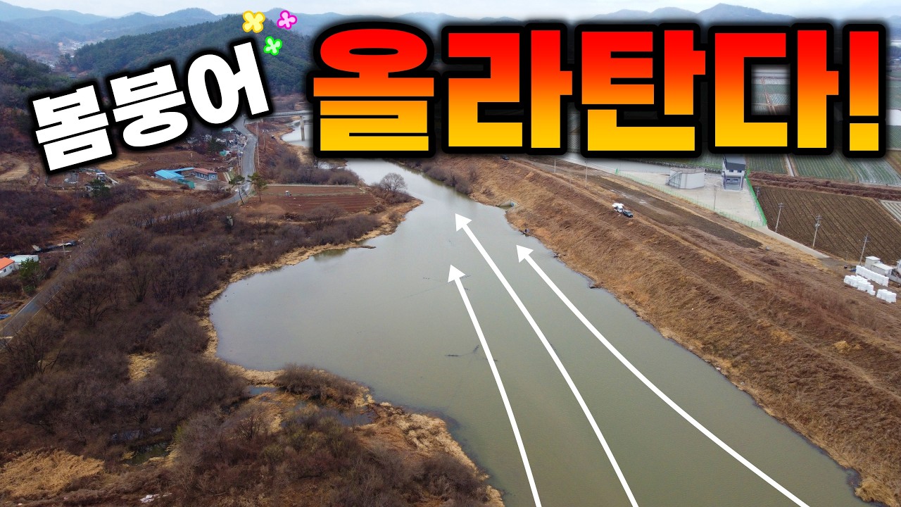 봄이 오면 떼붕어 올라탄다! 산란철 붕어낚시 감당 안되게 나와버린다던데~