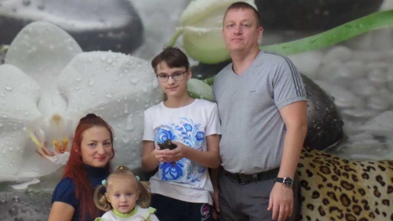 Спасение стрижа Чижика ver. для Аксиомы ответственности