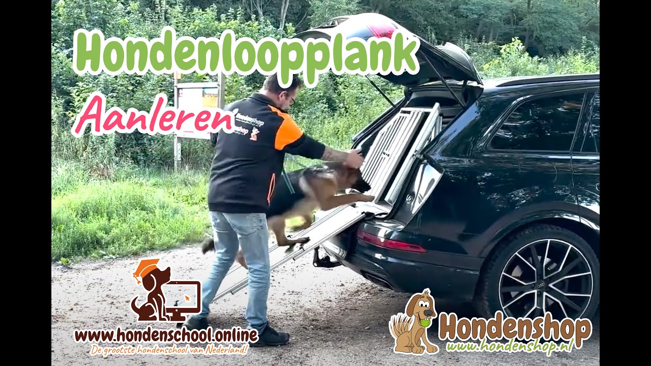 Hondenloopplank review en aanleren loopplank hond