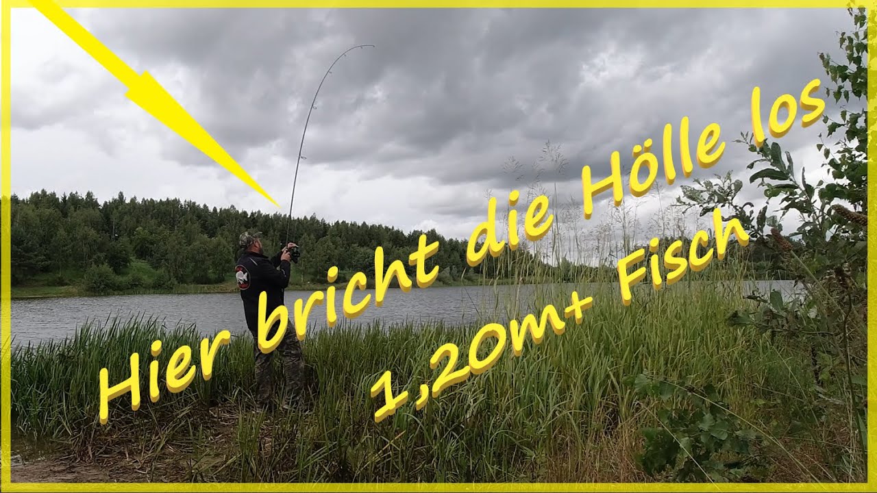 Angeln auf Karpfen und dann bricht die  Hölle los 1,20m+ Fisch