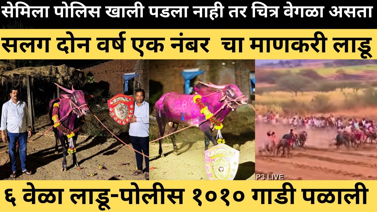 पोलिस 1010 तीन नंबरचा मानकरी सलग सहा वेळा लाडू- पोलीस गाडी पळाली चार गुलाल घेतलं 🙏