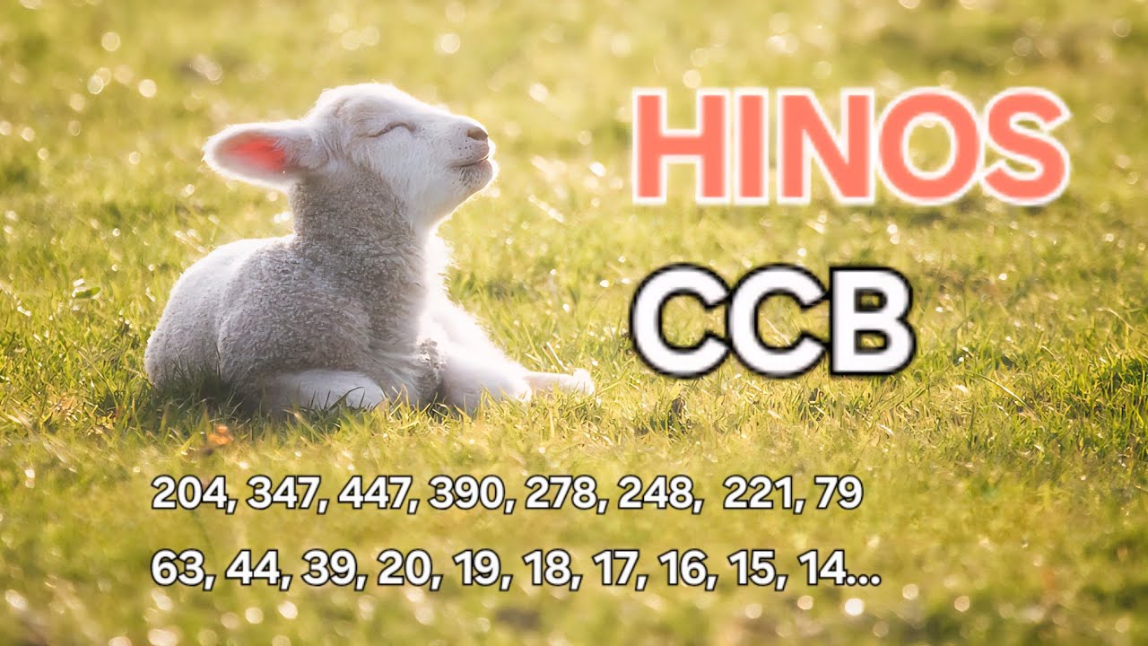 HINOS DE LOUVOR CANTADOS  204, 347, 447, 390, 278, 248,  221, 79, 63, 44, 39, 20, 19, 18, 17, 16, 15