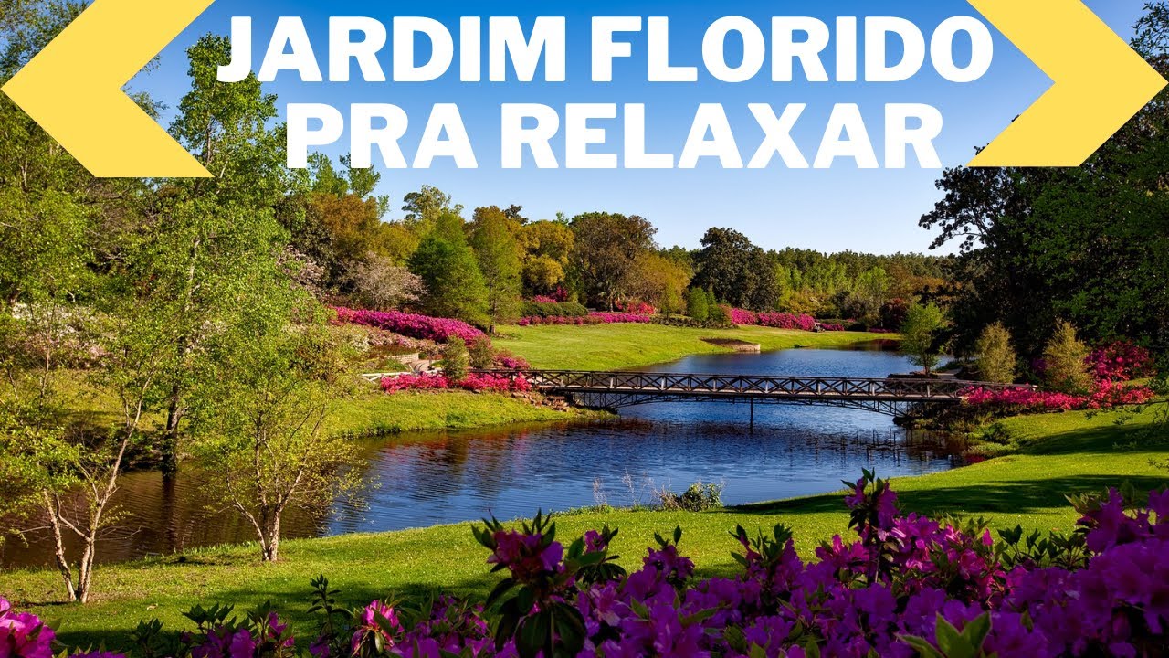 M&Uacute;SICA PARA RELAXAR E DORMIR COM UMA BELA PAISAGEM