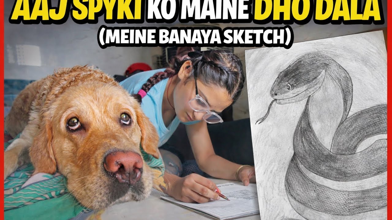 Sketch banaya aaj(dog bath) badminton player ban gayi main (spyki ko nehelava aaj)dayilyvlogs