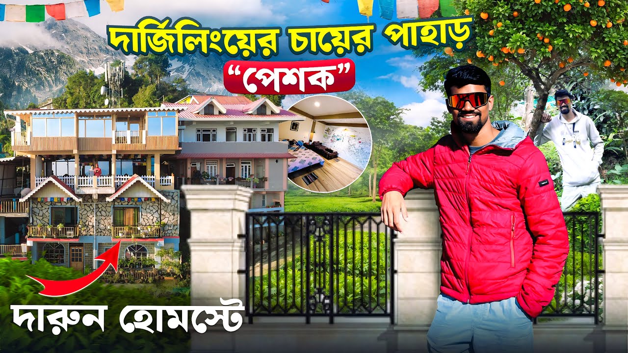 দার্জিলিংয়ের চায়ের পাহাড় “পেশক” | Peshok Tea Garden | Offbeat Darjeeling | Hari Mang Imm Homestay