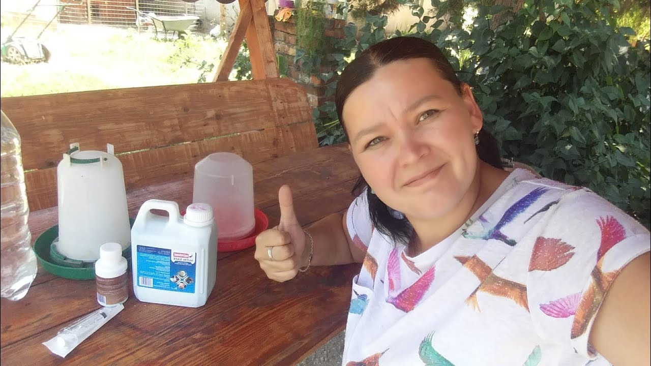 Deparazitare internă la pui si Găină ( 100%natural )