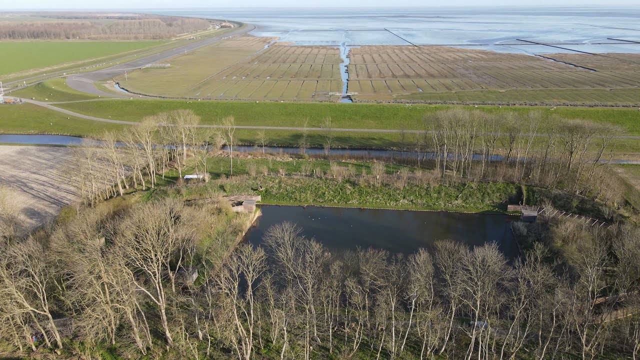 20210417 Eendenkooi Nieuw Onrust Hornhuizen