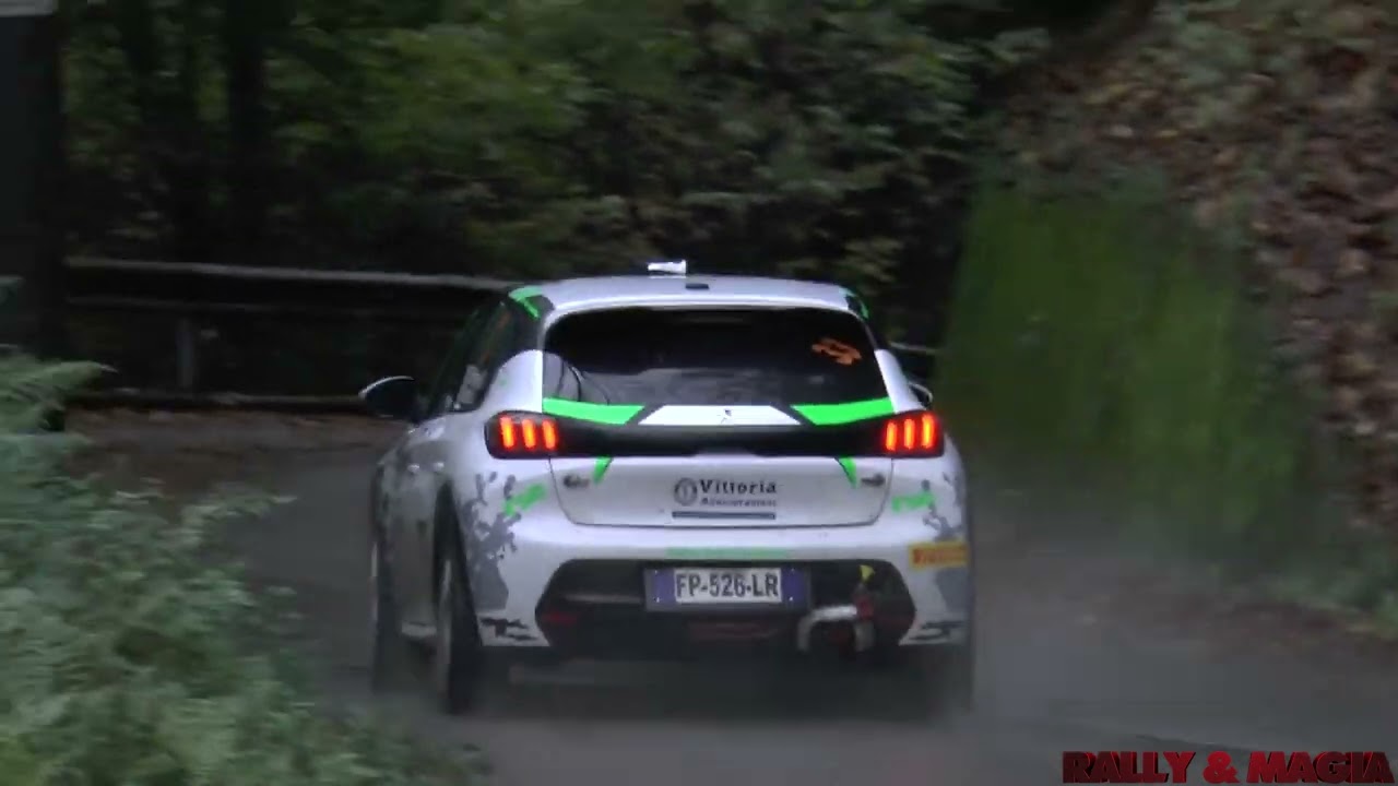 The best of Rally 2 Laghi 2024