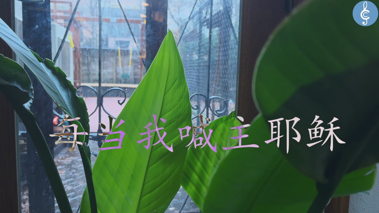 补充本231 每当我喊主耶稣