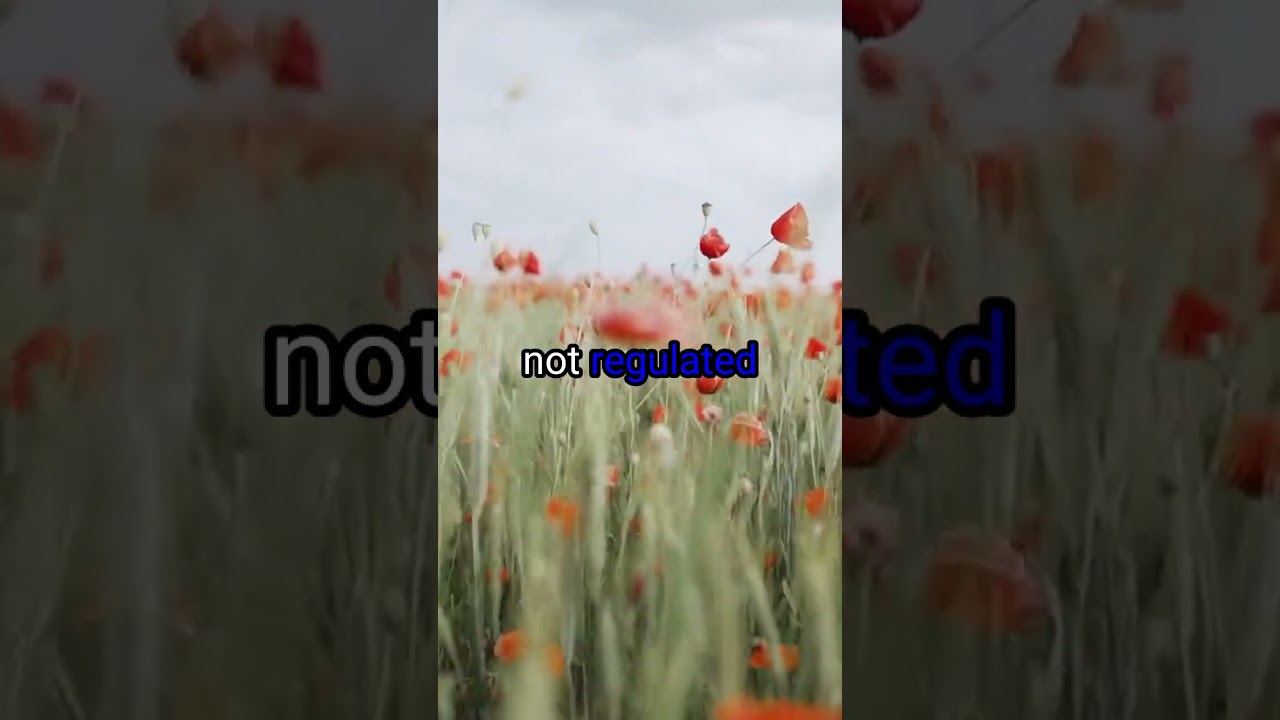 To Invest or Not to Invest in Cryptocurrency: Making Sense of the Volatile Market #shots