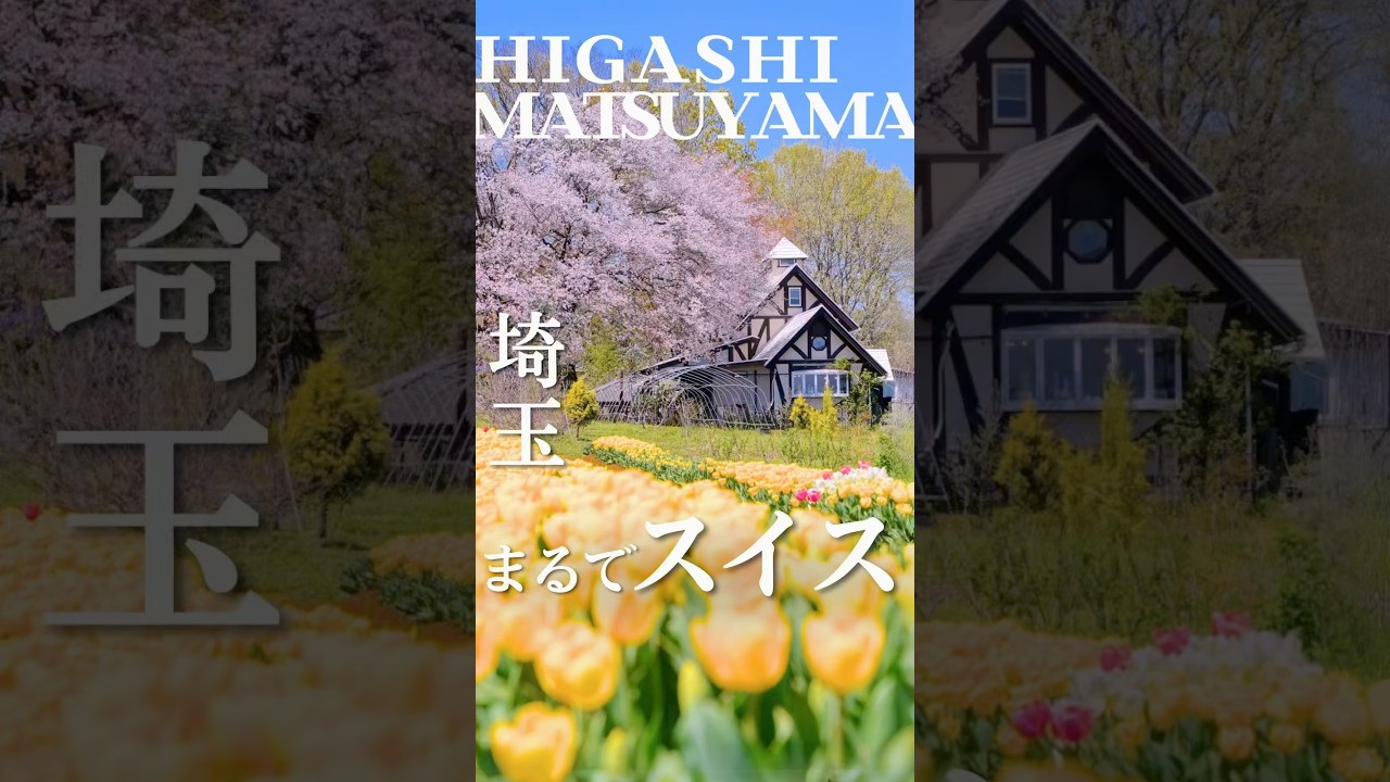 【埼玉】お花見ができる異世界カフェ☕️ #東松山グルメ #東松山#埼玉グルメ #埼玉  #お花見 #japan #japanfood #japantravel #cherryblossom