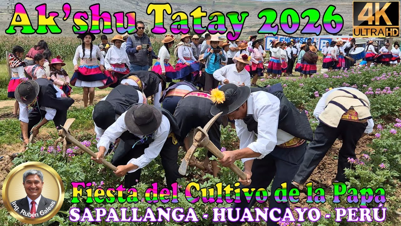 AK'SHU TATAY 2026. Fiesta de la papa en Sapallanga-Huancayo. Barrio Mariscal Castilla (VIDEO 4K)