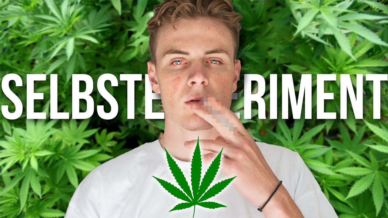 Jeden Tag K1ffen! Selbstexperiment | Warum Illegalität von C*nnabis ein Problem ist - Dave
