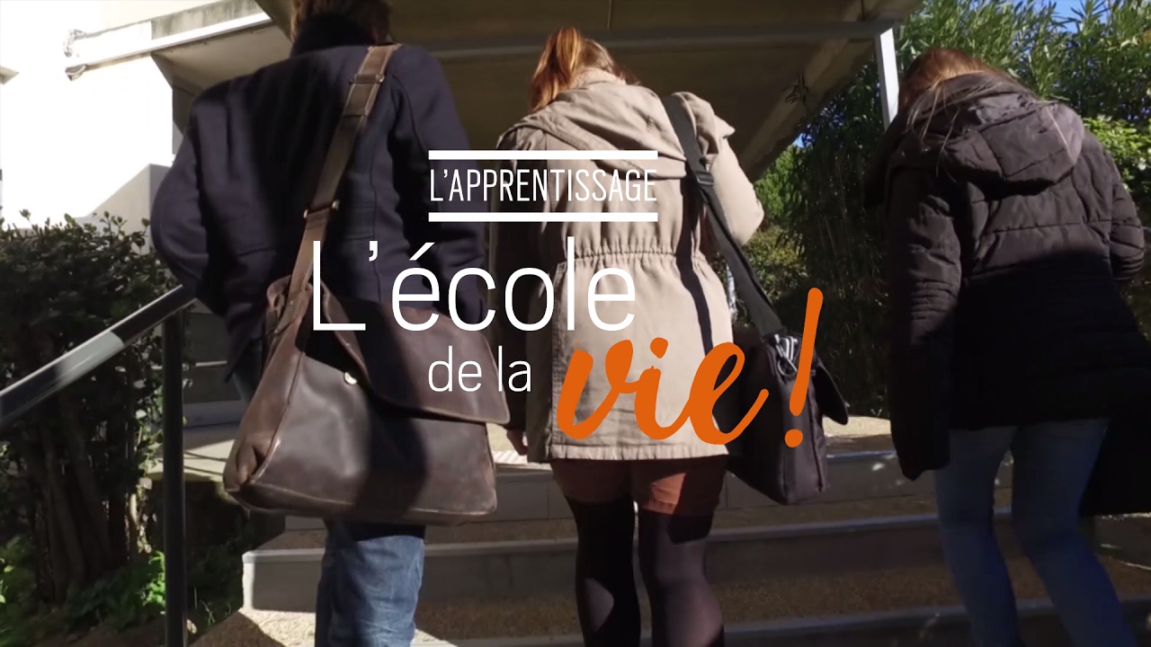 L'apprentissage l'école de la vie - Sud Formation CCI Hérault