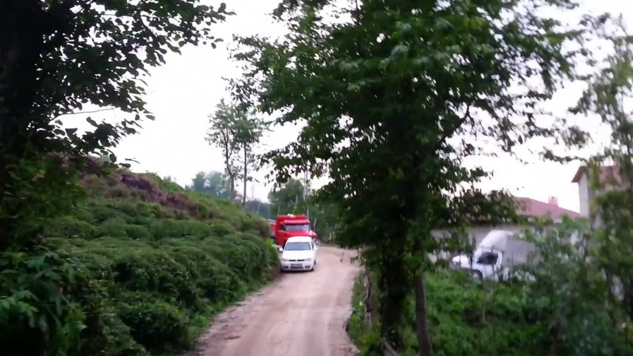 Yaşar TELLİOĞLU