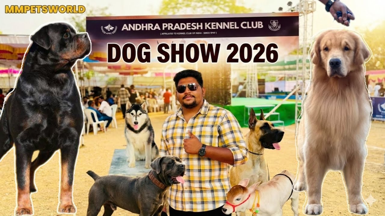 Best Dog show in Hyderabad | APKC 2026 | MMPETSWORLD