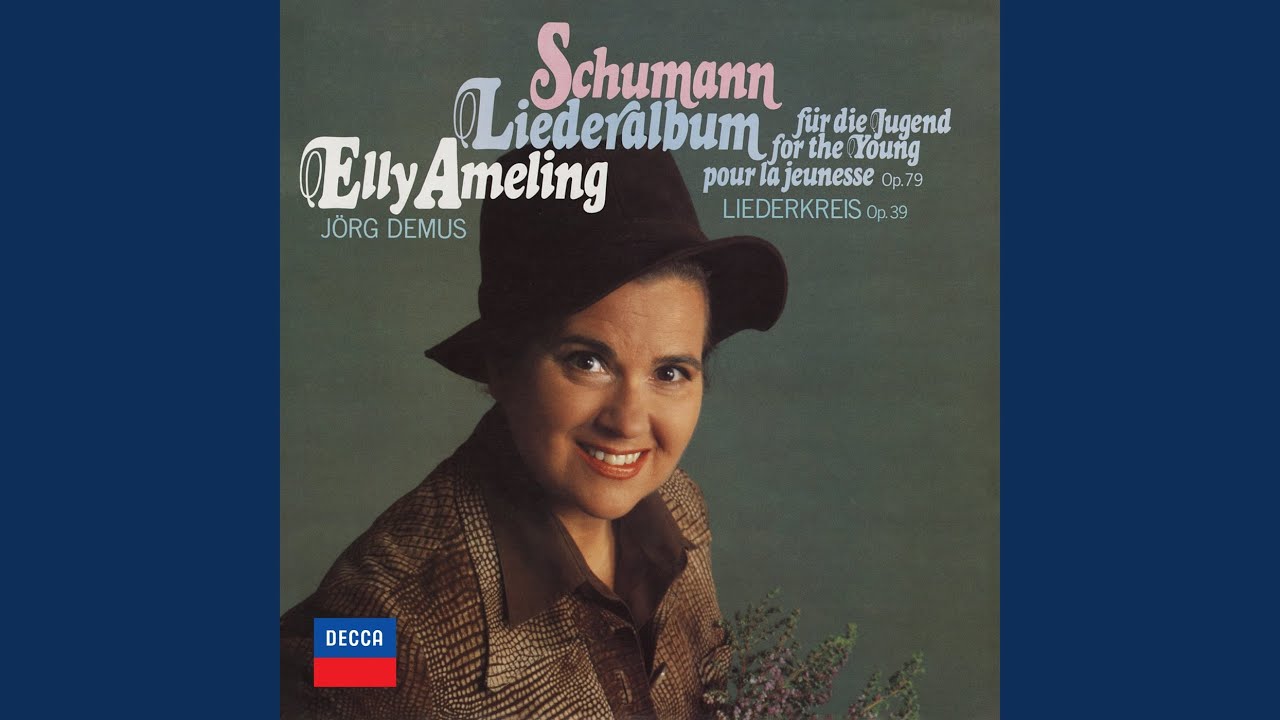 Schumann: Liederalbum für die Jugend, Op. 79: XIII. Der Sandmann