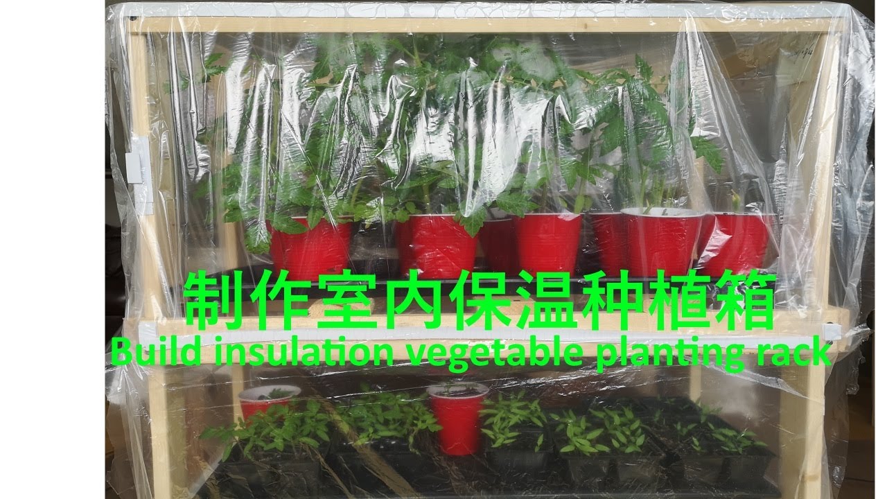 制作室内保温种植箱/架-让你室内高效培育菜苗和种植小蔬菜-Creatively build insulation vegetable planting rack/shed (2021)
