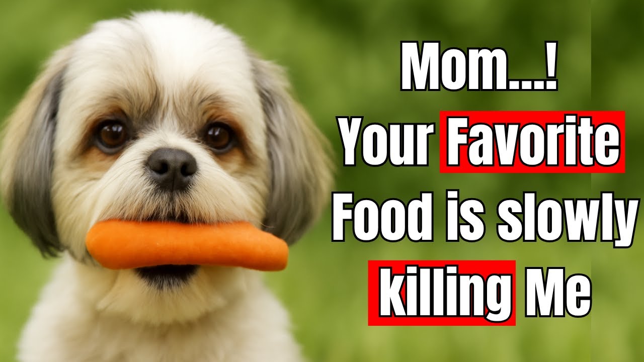 15 Super Veggies That Make Your Dog Healthier ( And 3 That Secretly Kill Them )