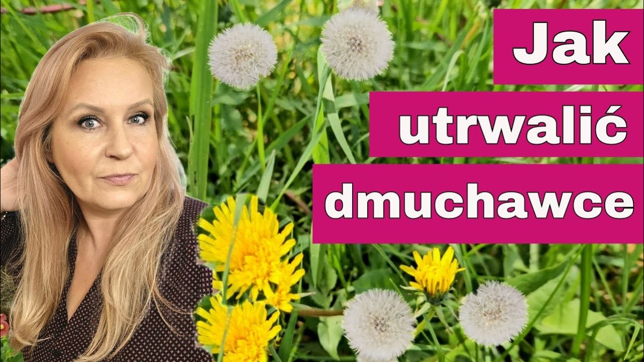 DIY - Nie uwierzysz, co zrobiłam z dmuchawców! – Efekt jest oszałamiający!