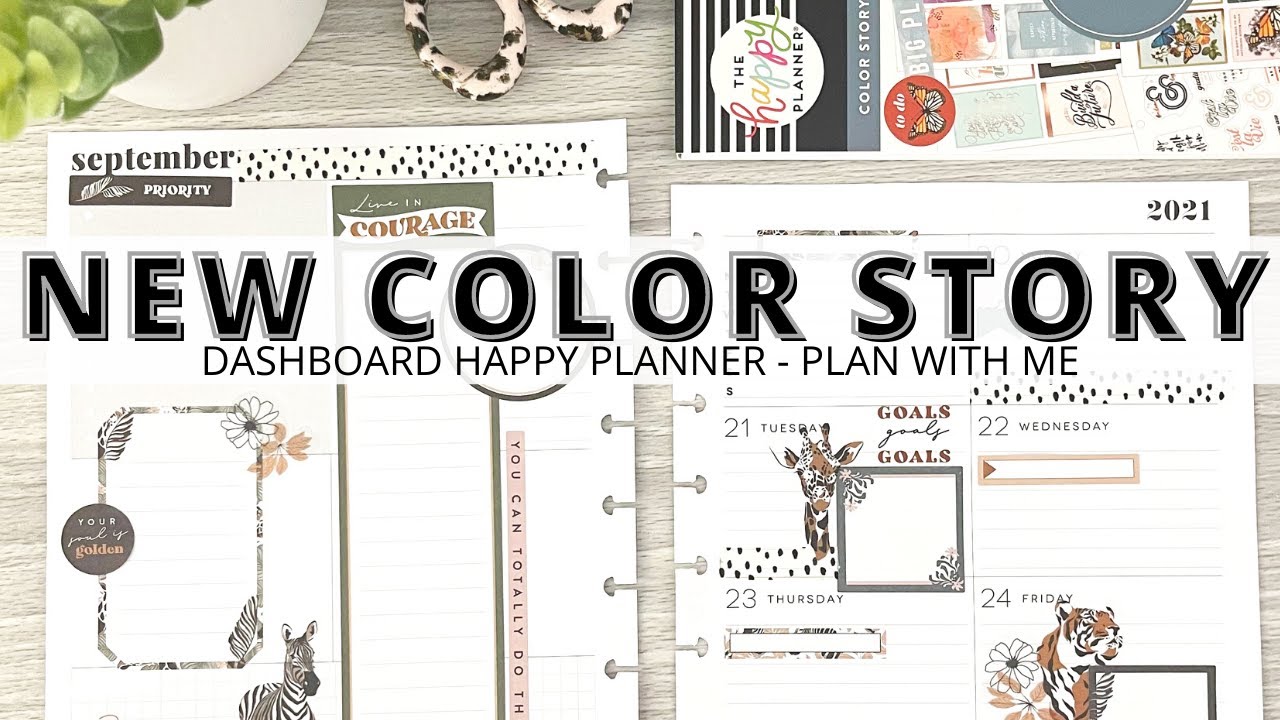 PLAN WITH ME | DASHBOARD HAPPY PLANNER | COLOR STORY SAFARI