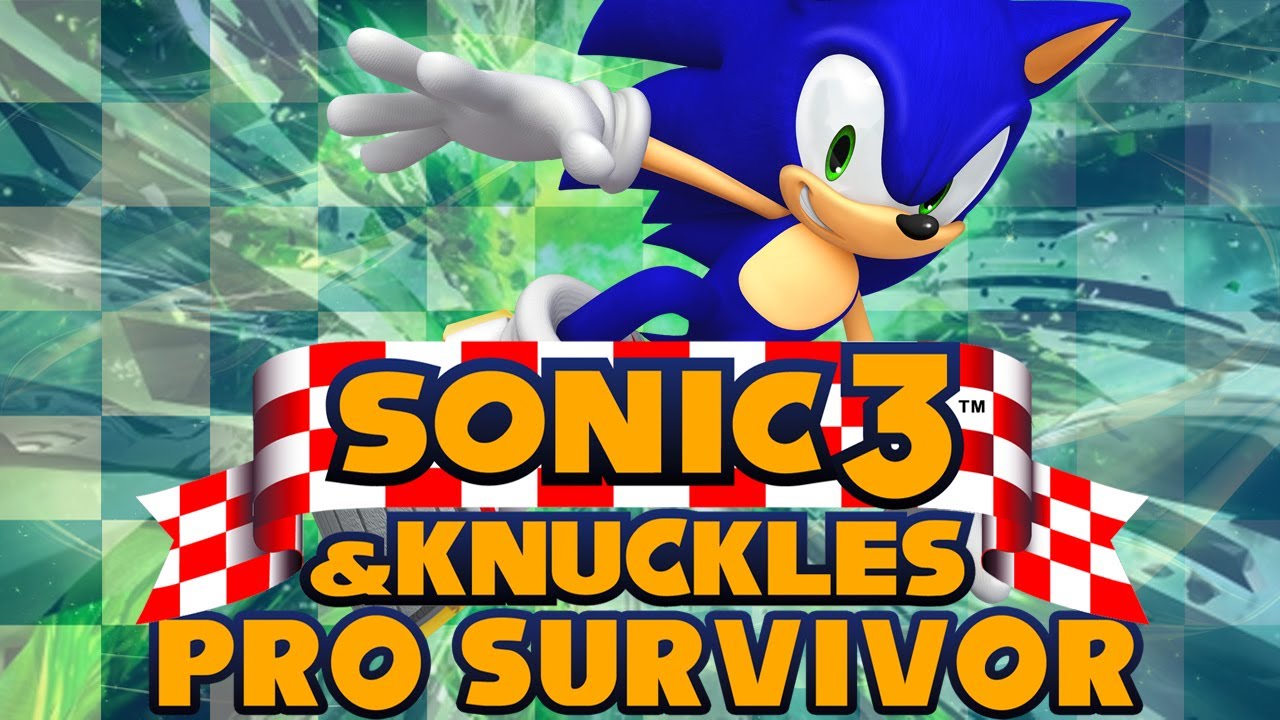 Sonic 3 & Knuckles Pro Survivor - Walkthrough