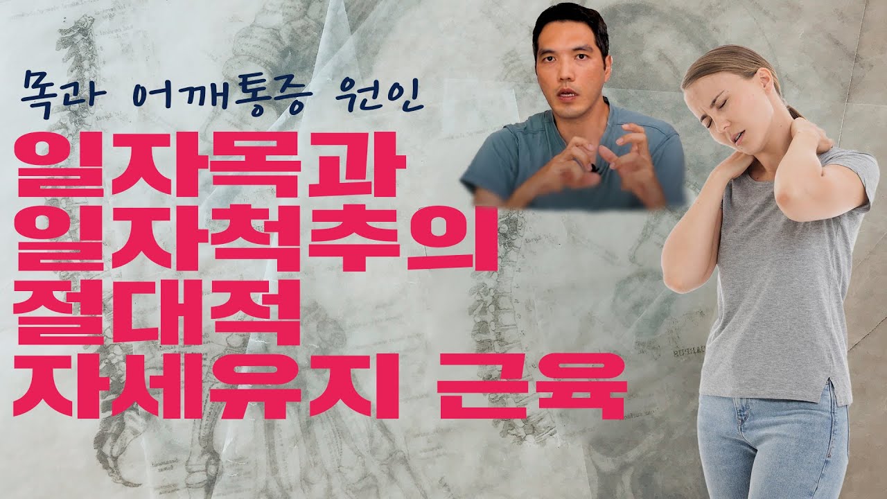목 어깨 통증의 진짜 원인. 일자척추(플랫백) 일자목 허리통증의 질병손상예방 스포츠 체형교정 운동비법 대공개!!(자세유지근으로 오래 앉게 된다)