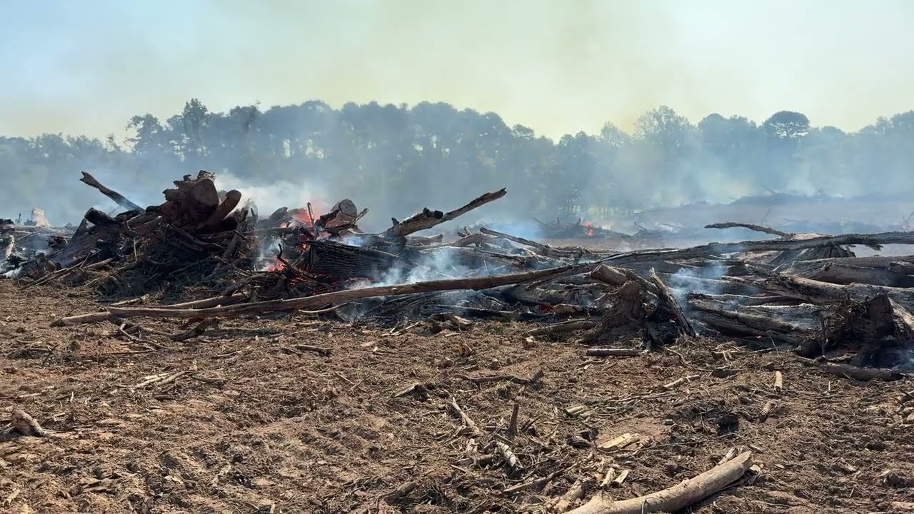 Windrow and Pile Prescribed Burning for Site Preparation following a Clearcut in East Texas